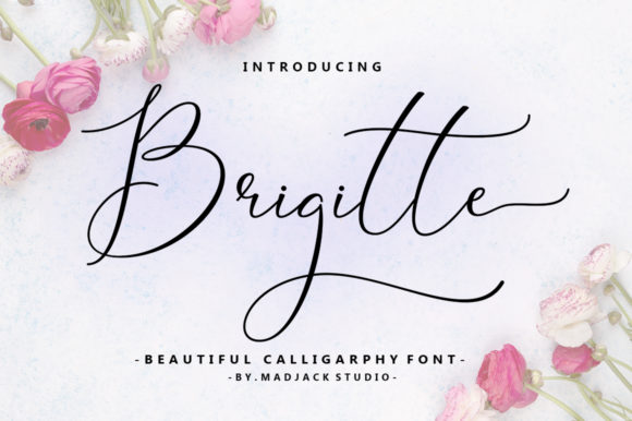 Brigitte: A Unique and Lovely Script Font with Amazing Swashes