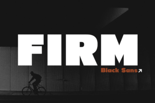 Firm: A Bold, Functional Sans Serif for High-Impact Typography