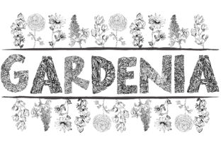 Gardenia LF: A Hand-Drawn Floral Font Rooted in Nature and Purpose