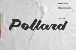 Pollard Script: Where Bold Personality Meets Modern Typography